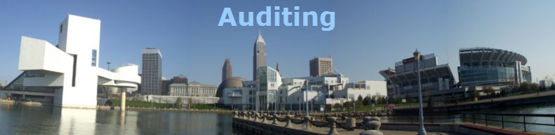 Auditing