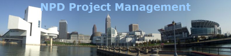 NPD Project Management